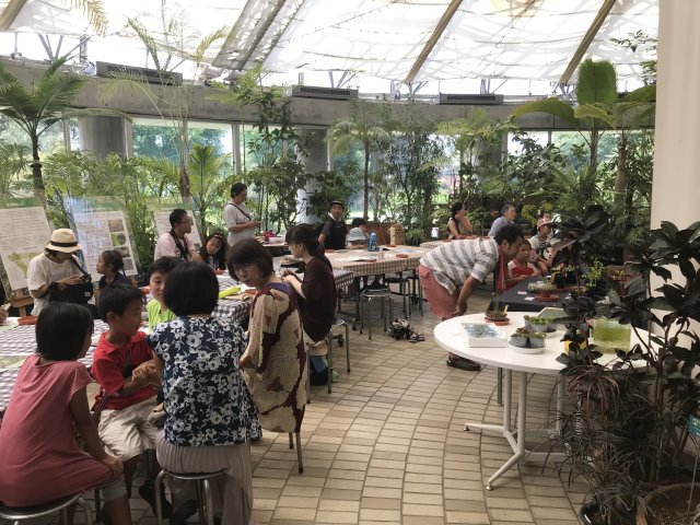 夢の島熱帯植物館展示・即売会2018