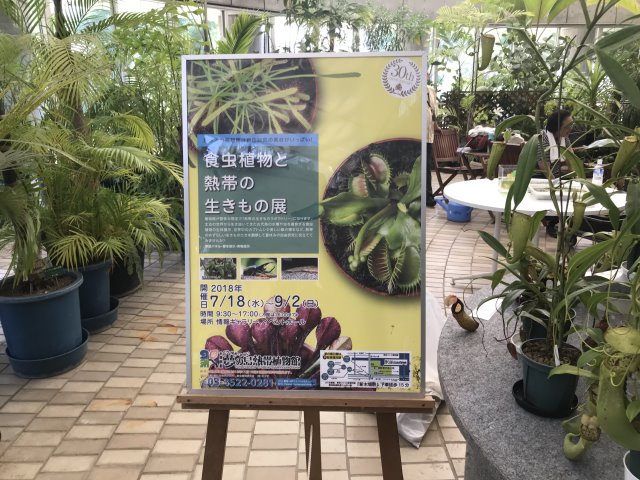 夢の島熱帯植物館展示・即売会2018