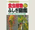 『食虫植物ふしぎ図鑑』