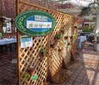 神代植物公園で食虫植物展示会